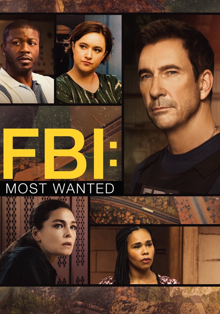 Saison 4 FBI Most Wanted streaming où regarder les épisodes?